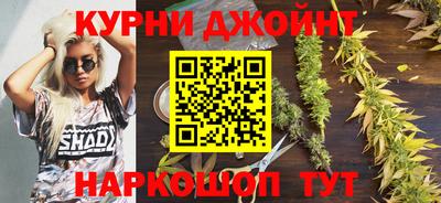 сатива Анжеро-Судженск