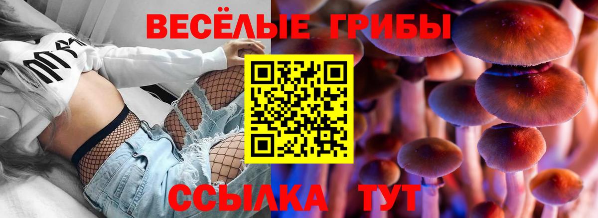Псилоцибиновые грибы Magic Shrooms  Вход с VPN  Сергиев Посад 